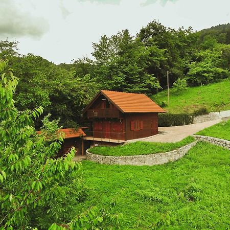Lazec Country House Villa Pluznje Eksteriør billede