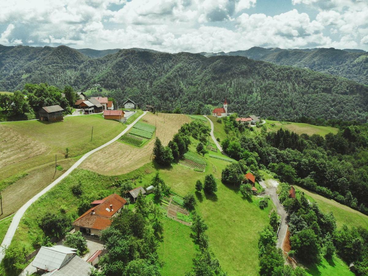 Lazec Country House Villa Pluznje Eksteriør billede